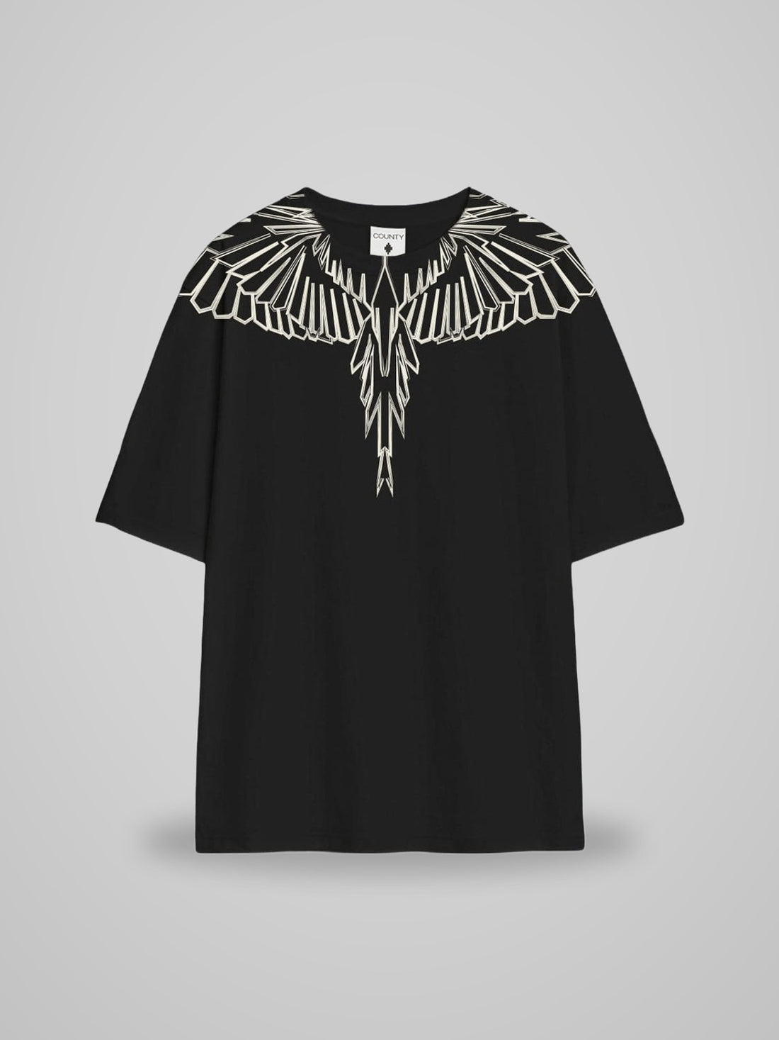 JERSEY T-SHIRT wings