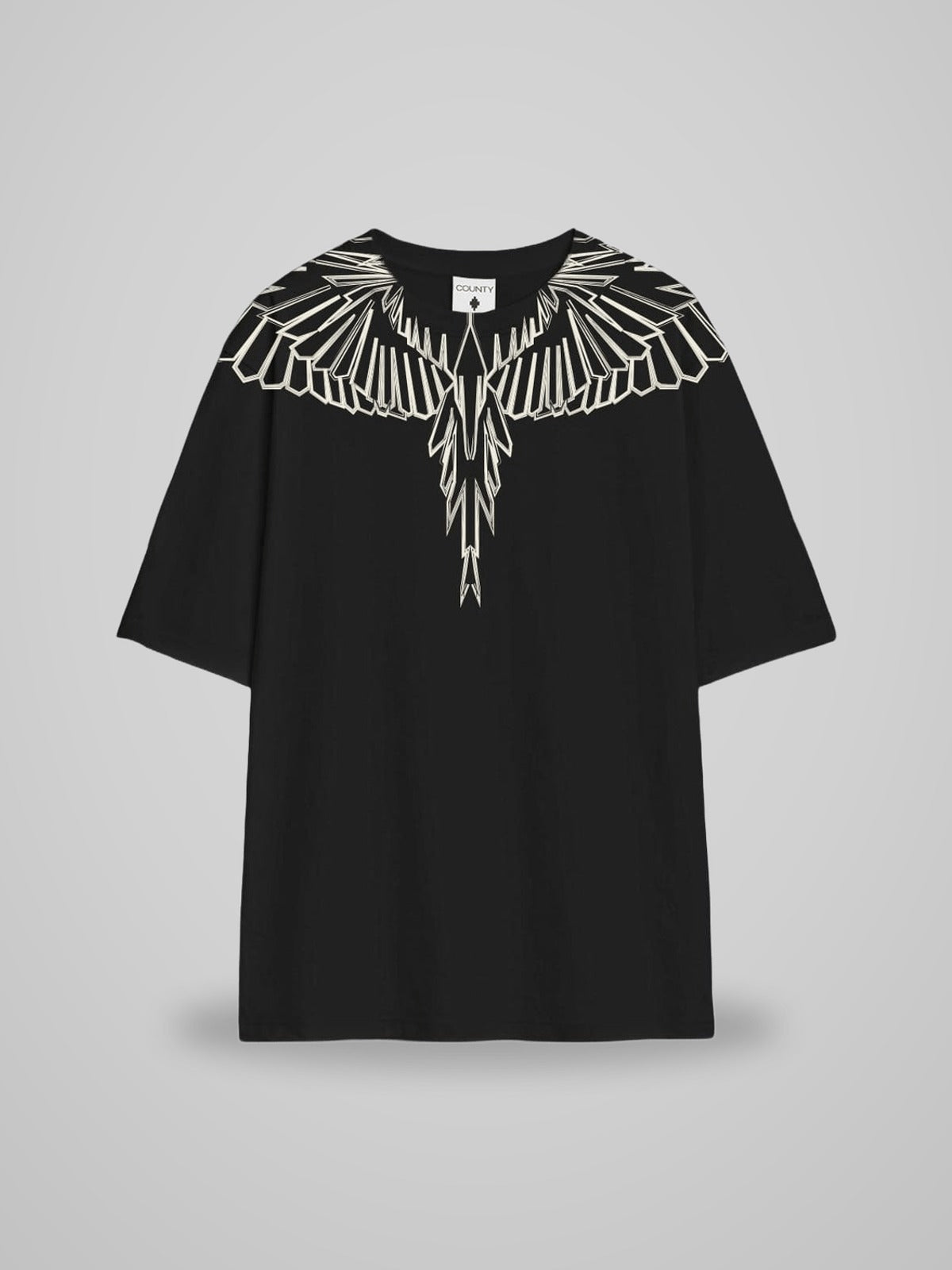 JERSEY T-SHIRT wings