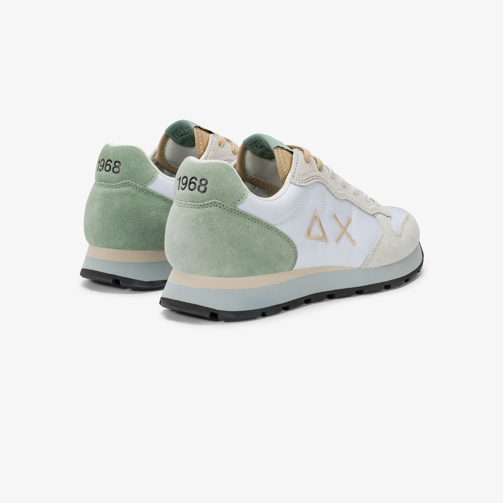 Z36106 TOM MULTICOLOR