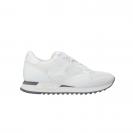 Drac 02 Bianco
