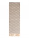 AW5423 SCARF 60X180 Grigio